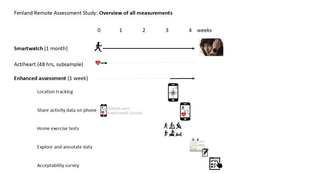 Diagram illustrating the measurement timeline for the Fenland Remote Assessment study.